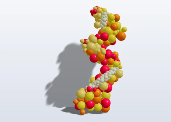 BalloonBuilder organic balloon custom path shape design with multi-color clusters