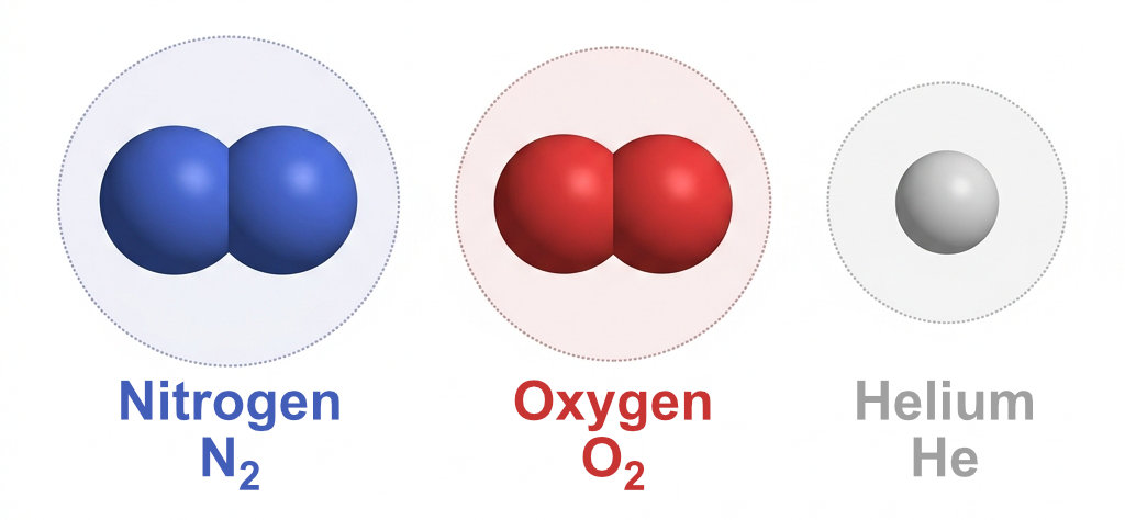 Size comparison of nitrogen molecule (364 pm), oxygen molecule (346 pm), and helium atom (260 pm) — helium's small kinetic diameter gives it much higher diffusivity in latex